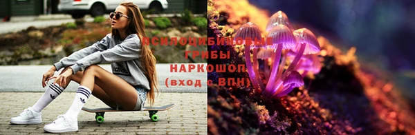 крисы Алексин