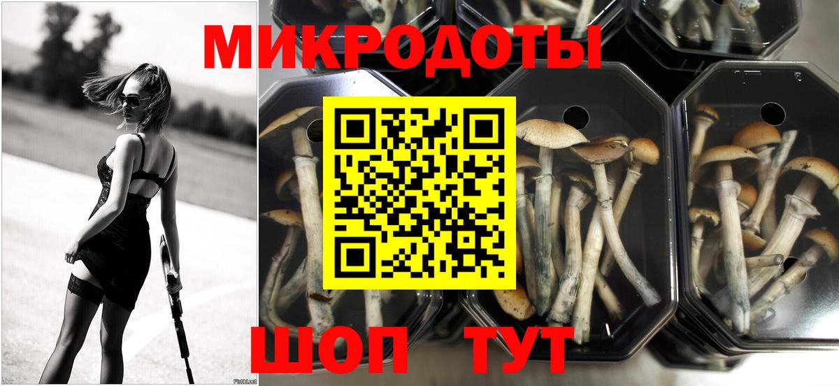 Галлюциногенные грибы Magic Shrooms Боровичи