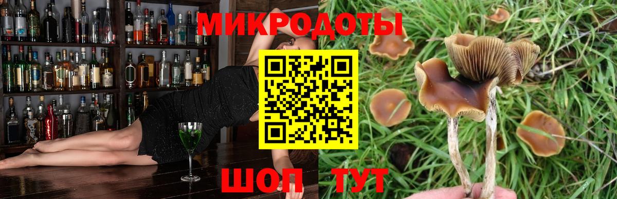 Боровичи  Псилоцибиновые грибы прущие грибы  Галлюциногенные грибы мицелий  Вход с VPN 